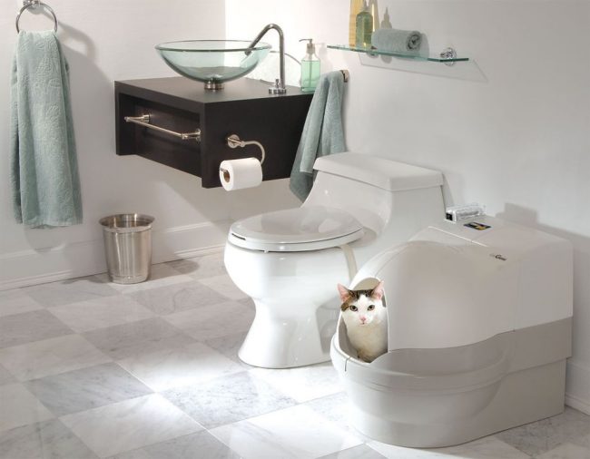 Automatikus WC macskáknak