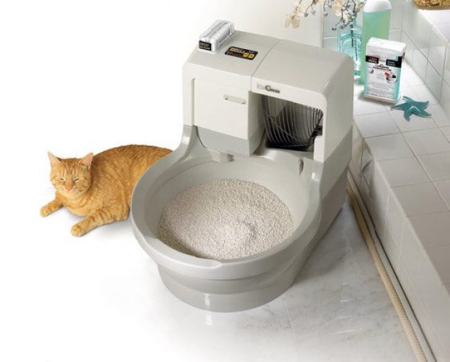 Automatikus WC macskáknak