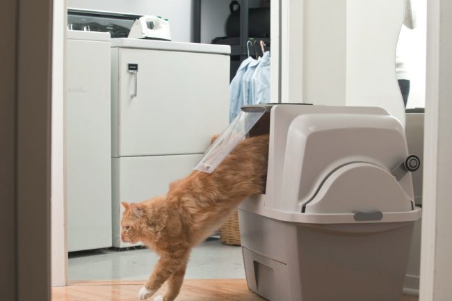 Automatikus WC macskáknak
