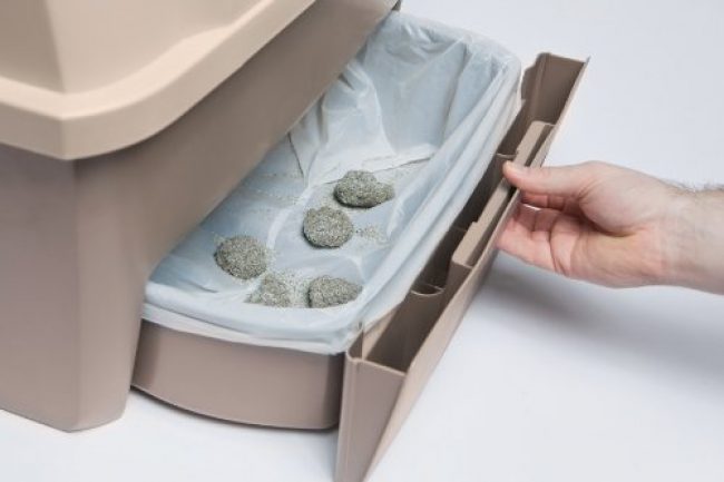 Automatikus WC macskáknak